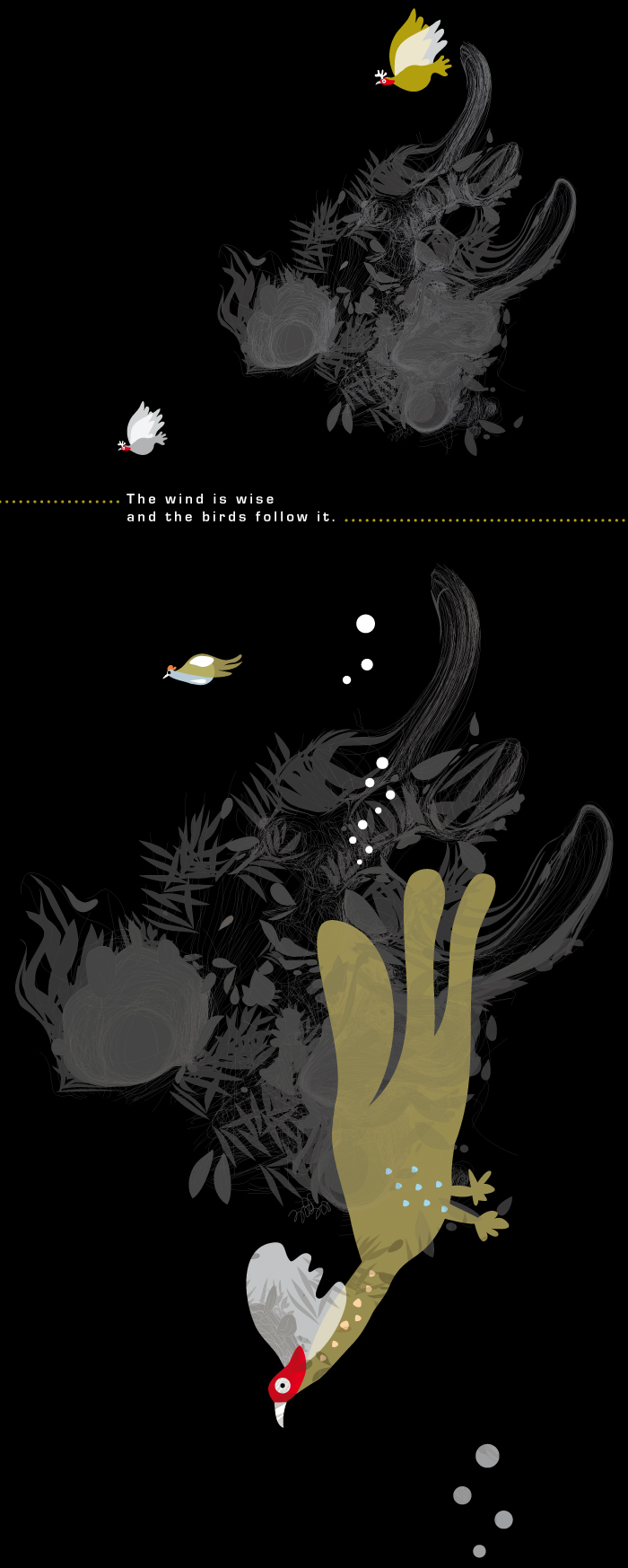 BIrds in the sky, illustrated by Montse Noguera